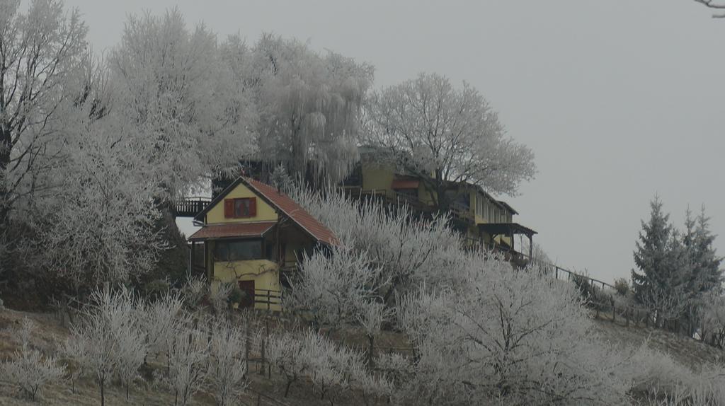 Country House Na Malenom Brijegu Bjelovar Buitenkant foto